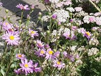 20190820_125353.jpg