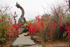 DSC05877.JPG