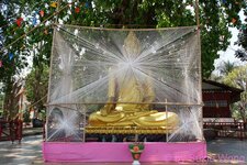 DSC07574.JPG