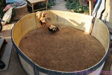 DSC07810.JPG