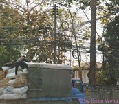 DSC08168.JPG