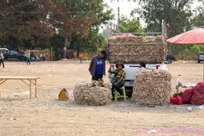 DSC08711.JPG