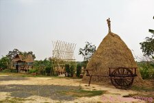 DSC08774.JPG