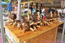 DSC08780.JPG