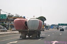 DSC08895.JPG
