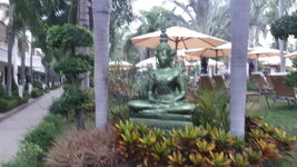 20200316_062519.jpg