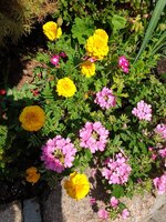 20190823_122039.jpg