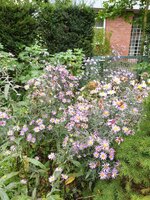 20191002_130158.jpg