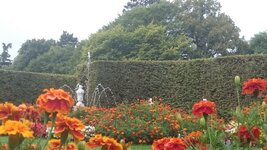 DSC_1358_1.JPG
