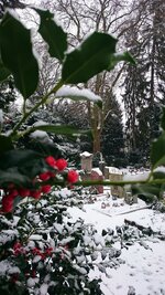 DSC_0975.JPG