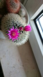 IMG-20190531-WA0017.JPG