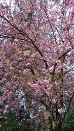 DSC_0002.JPG