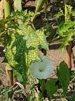 20190827_124739.jpg