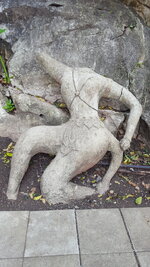 20180307_132811.jpg