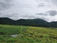 20190824-100935.jpg 20190824-100935.jpg