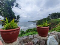 20190825-102055.jpg 20190825-102055.jpg