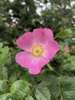 IMG_9549.JPG