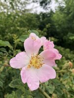 IMG_9552.JPG