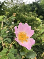 IMG_9553.JPG