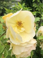 IMG_9561.JPG
