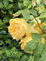 IMG_9563.JPG