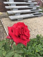 IMG_9583.JPG