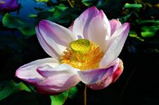 DSC03935.JPG