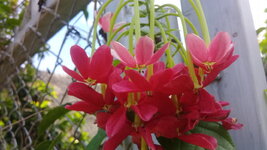 20200601_114039.jpg