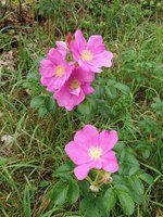 20190829_124601.jpg