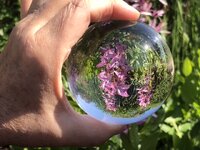 B6CC138B-5A35-4808-AD35-8D8F0FDB2D17.jpeg