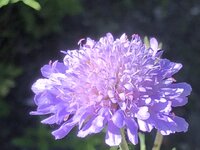 3A043FBE-122C-442F-8FE0-A91742FF1B04.jpeg