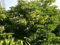 IMG_20191128_073911.jpg