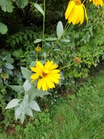 20190902_132306.jpg