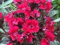 4927B244-944E-4ED7-8A4B-35DB875E2798.jpeg
