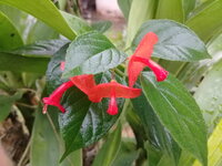 20171125_093307.jpg