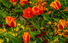 DSC07144-1-1.jpg