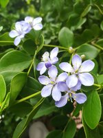 IMG_20170628_153806.jpg