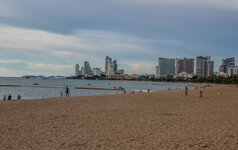 IMG_2627.jpg