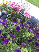 042CAD5D-B041-428E-BB4F-22CE5D042CEA.jpeg