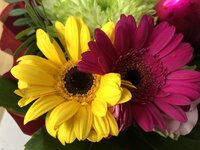 IMG_0010.JPG