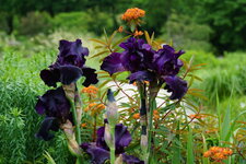 DSC01260.JPG