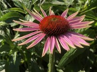 3954068F-1F23-4773-87AC-65B12F8D94AB.jpeg