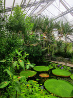 IMG-20200714-143112-2.jpg