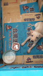 IMG-20200714-WA0002.jpeg