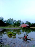 IMG_20200726_175646.jpg