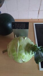 IMG_20200727_101133836.jpg