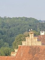 1821330F-9E95-459B-9ABC-359F0894C45D.jpeg