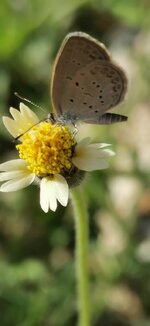 IMG_20200824_163037.jpg