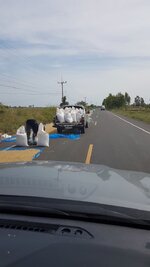 20181024_104152.jpg