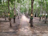 k-20130505_134454.jpg